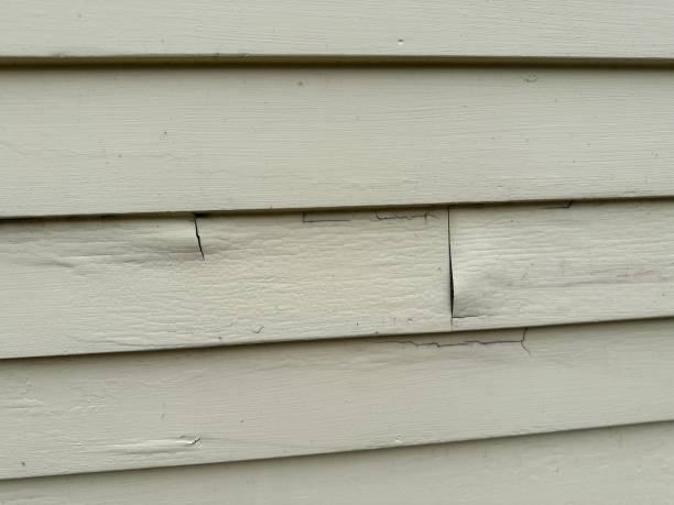 Custom Trim and Detailing for Siding in Arcola, IL